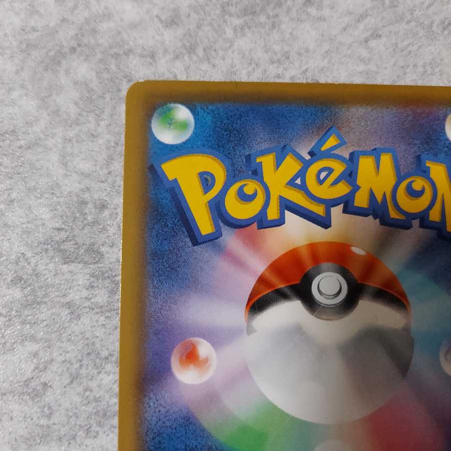 エリカのおもてなし SR