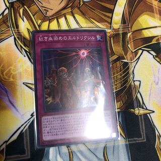 紅き血染めのエルドリクシル