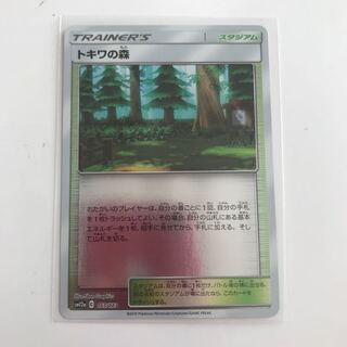 2点目以降値引き！トキワの森 ミラー