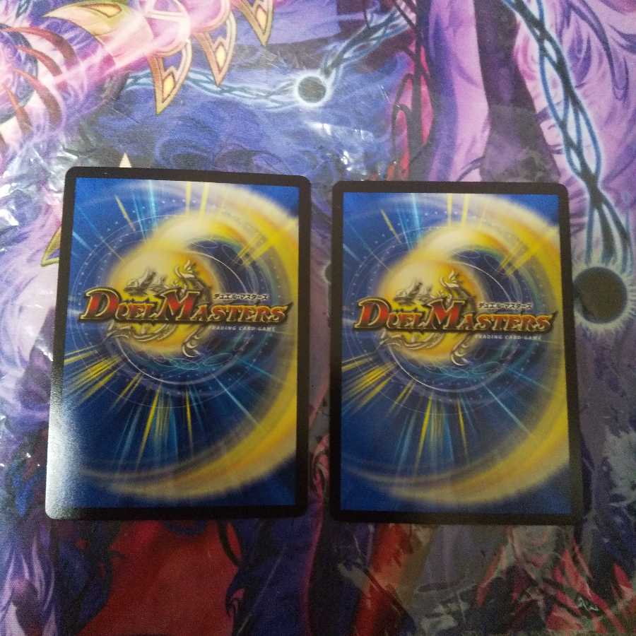 闘争類拳嘩目 ステゴロ・カイザー｜お清めシャラップ R