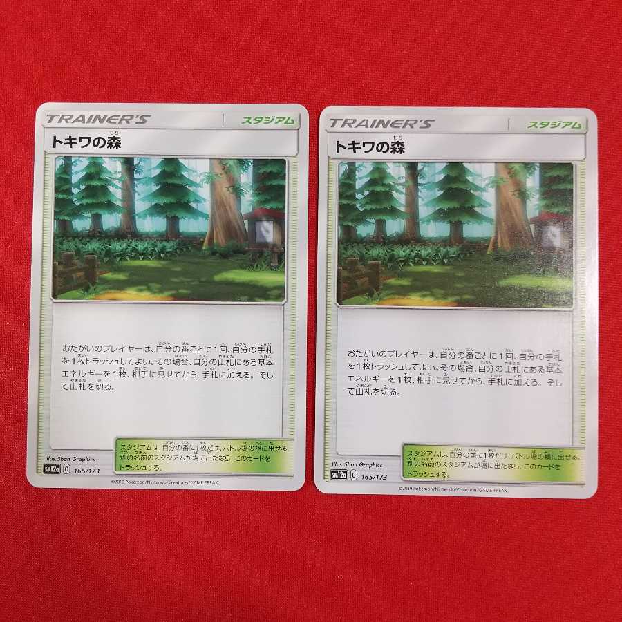 トキワの森 2枚セット