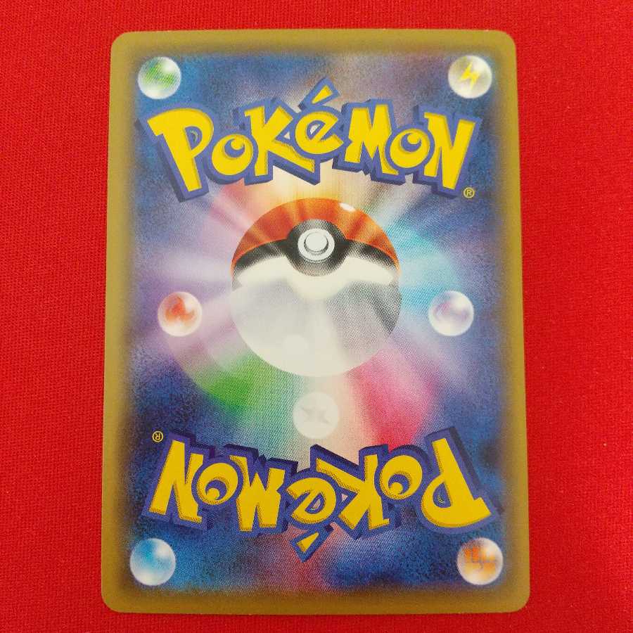 トキワの森 2枚セット