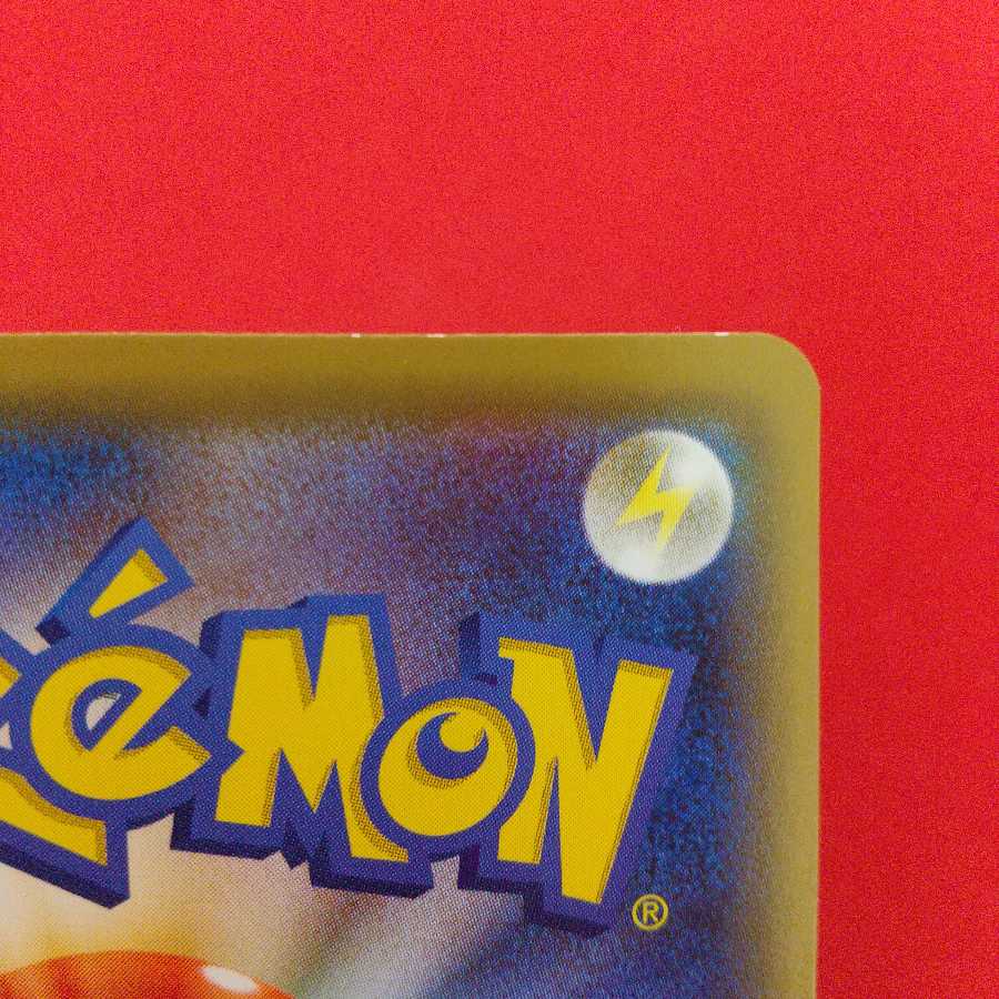 トキワの森 2枚セット