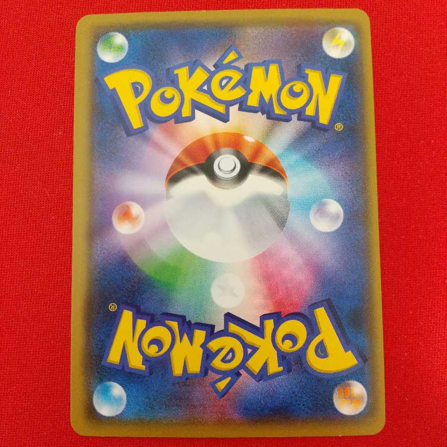 トキワの森 2枚セット