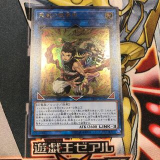 遊戯王　天威の龍拳聖　ウルトラ
