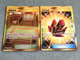 炎の結晶 格闘道場 UR