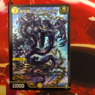 聖板龍 ジークシュトルツ