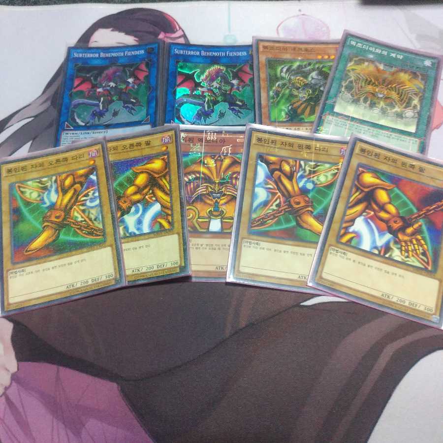 さむらいんぐさむらいさん購入