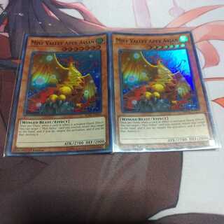 英語　霞の谷の巨神鳥　スーパー