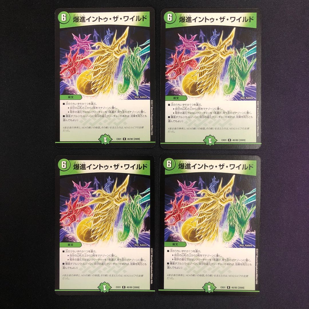 爆進イントゥ・ザ・ワイルド 4枚