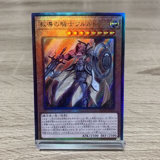 教導の騎士フルルドリス