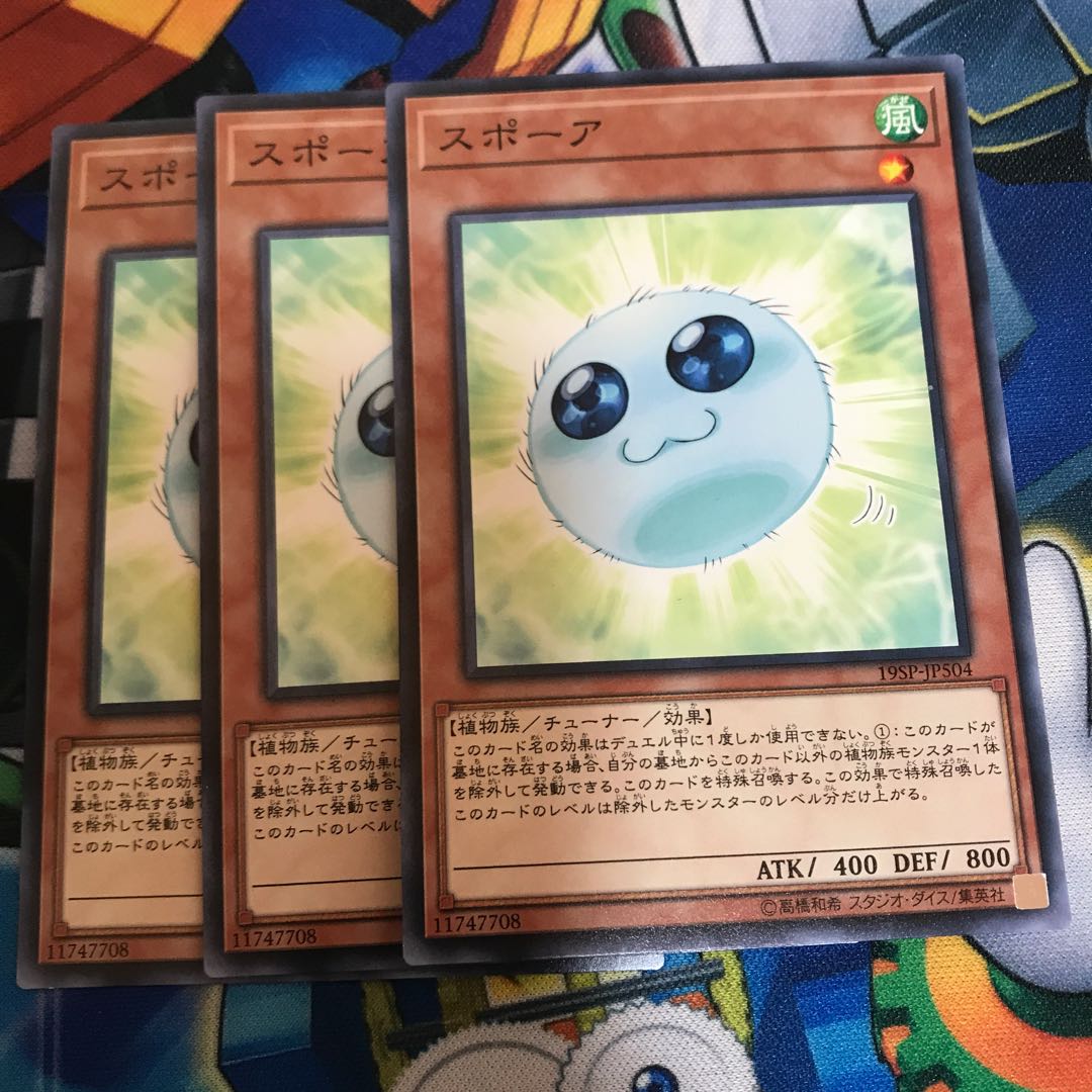 マドレース スポーア ノーマル