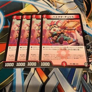 ハエタタ・チュリス　4枚