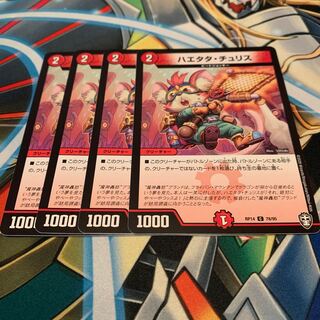 ハエタタ・チュリス　4枚