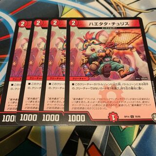 ハエタタ・チュリス　4枚