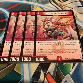 ハエタタ・チュリス　4枚
