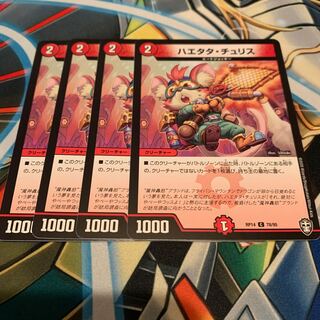 ハエタタ・チュリス　4枚