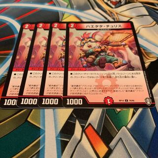 ハエタタ・チュリス　4枚