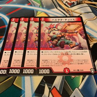 ハエタタ・チュリス　4枚