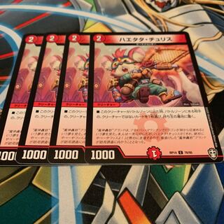 ハエタタ・チュリス　4枚