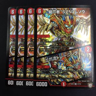 龍爪者“SVN”ムソウ｜二爪流トレーニング 4枚