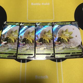 ワタシラガV 4枚セット