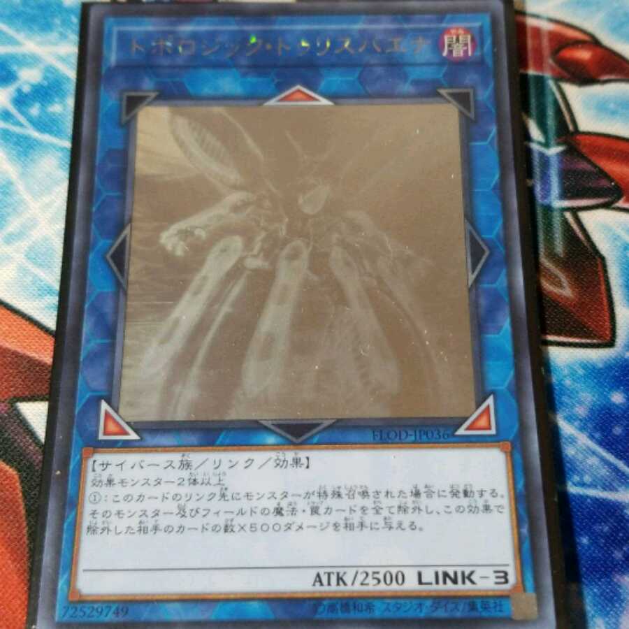 トポロジック?トゥリスバエナ ホロ