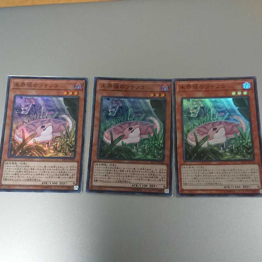 未界域のツチノコ3枚