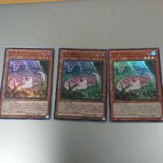 未界域のツチノコ3枚