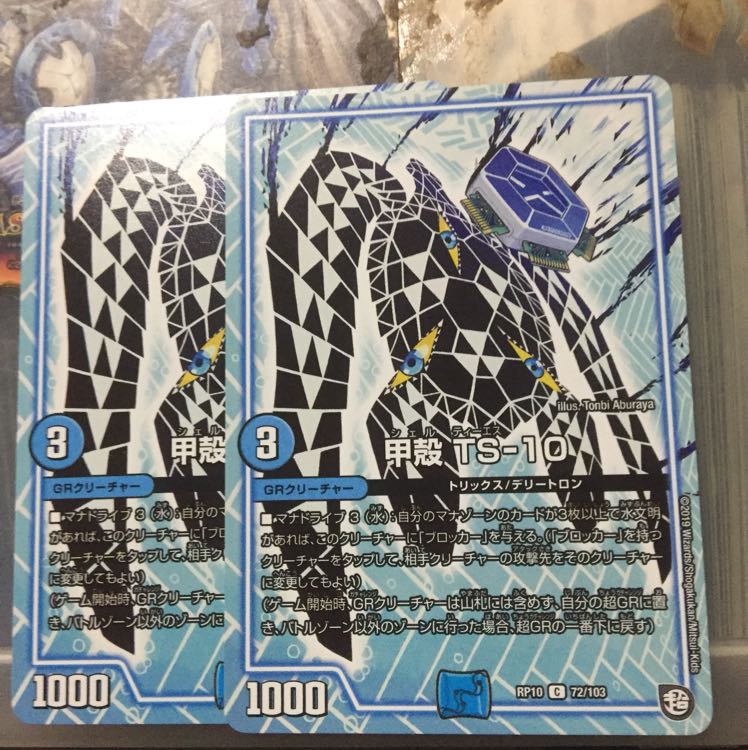 甲殻 TS-10 2枚セット