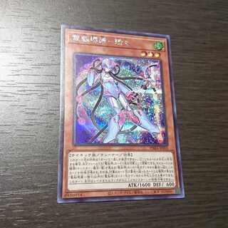 電脳堺媛-瑞々 シークレットレア