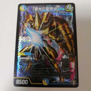 「雷光の聖騎士」