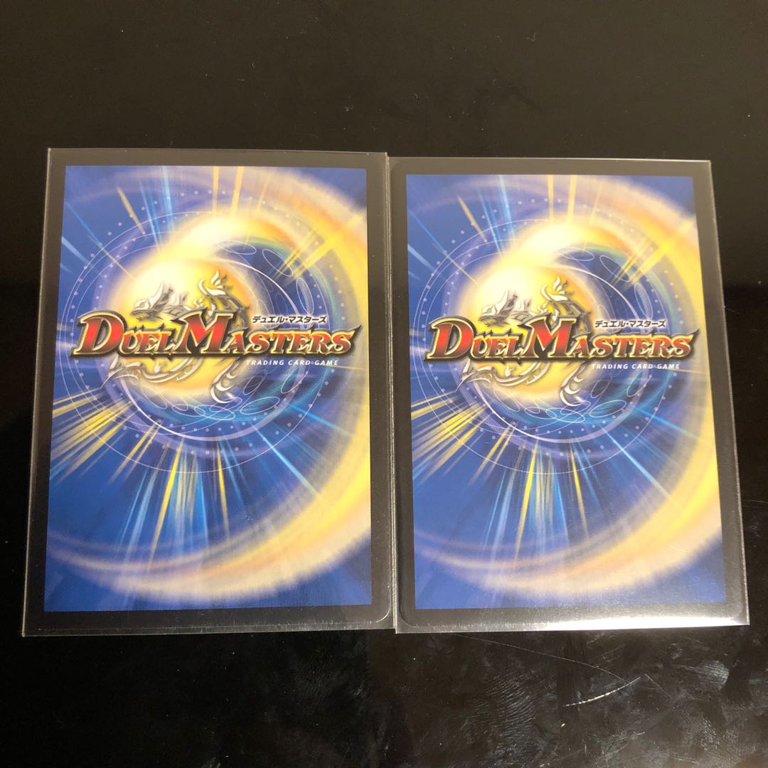 無修羅デジルムカデ 2枚セット