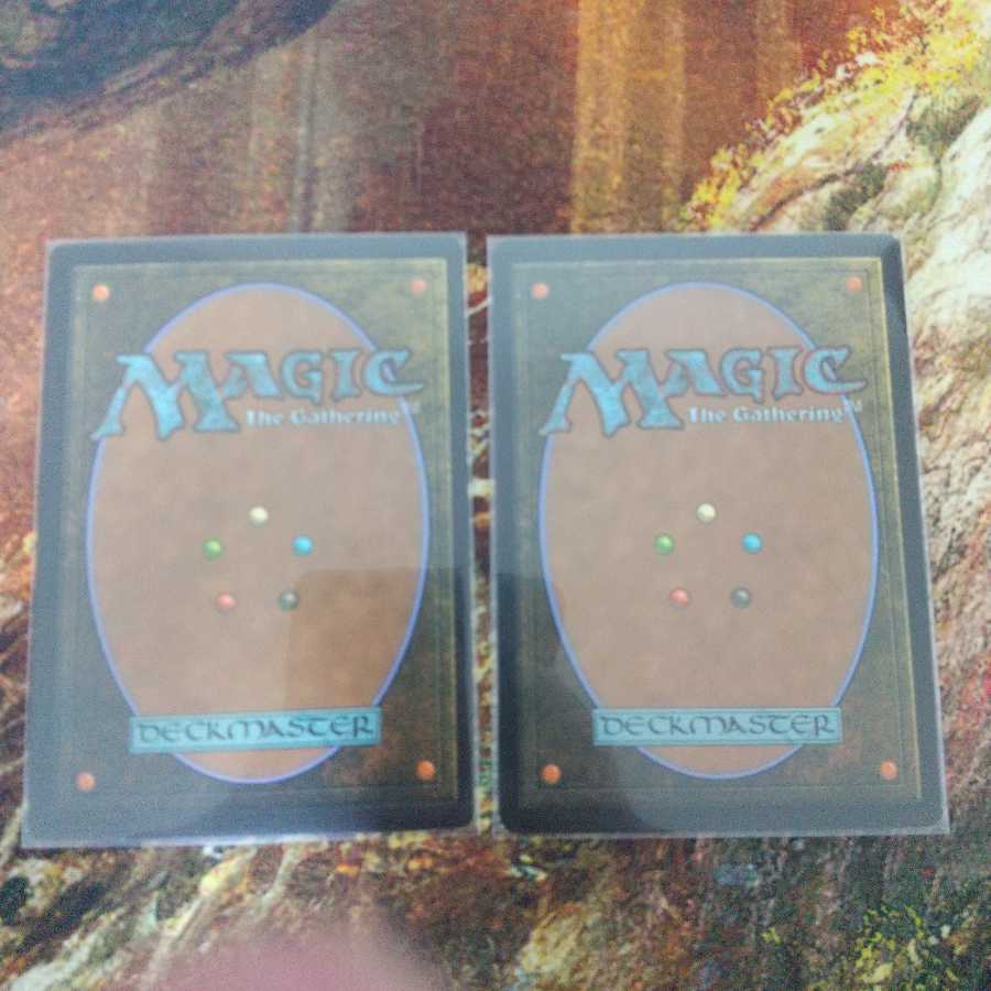 新緑の地下墓地 Verdant Catacombs 英語版 2枚