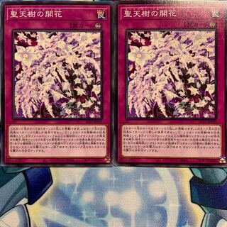 【N】聖天樹の開花 2枚 SLT1-JP039