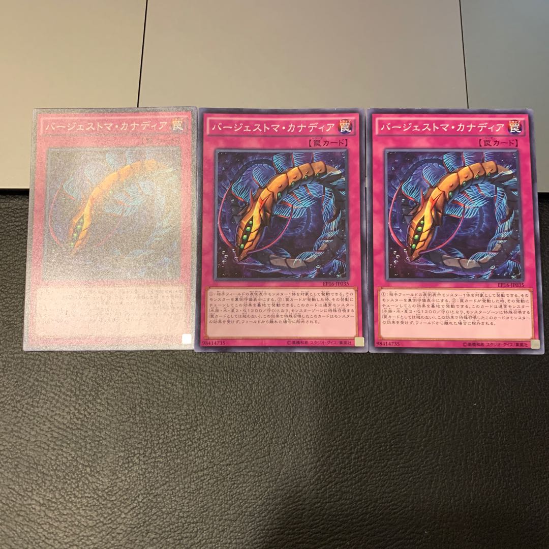 バージェストマ・カナディア ノーマル