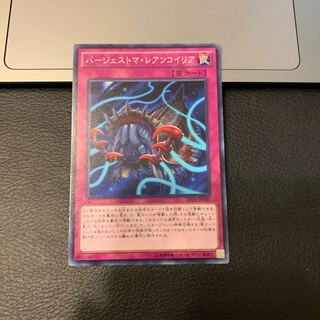 バージェストマ・レアンコイリア ノーマル