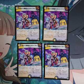 密かで華麗なるカイタイ