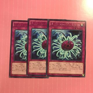 バージェストマ・ディノミスクス