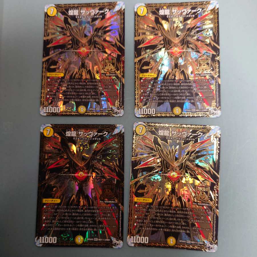 煌龍 サッヴァーク