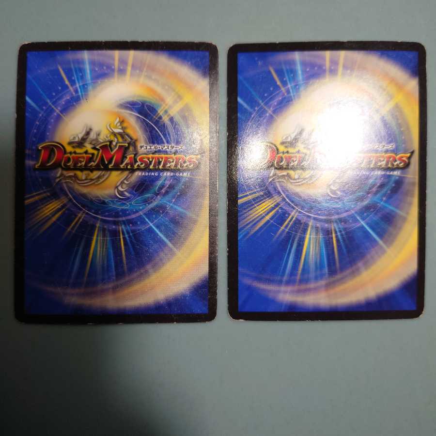 煌龍 サッヴァーク