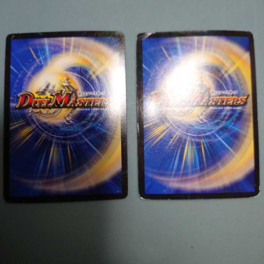 煌龍 サッヴァーク