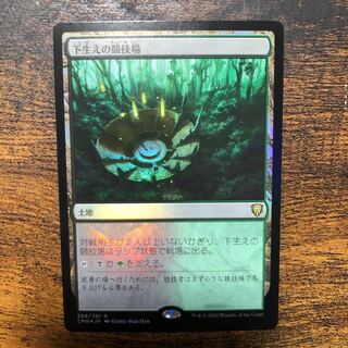 下生えの競技場　foil + 回復の温泉　foil