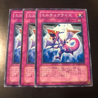 ミニチュアライズ ノーマル