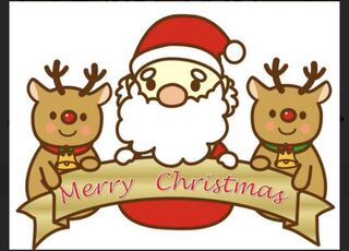 クリスマスアド袋