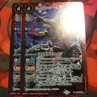 はなさかドラゴン