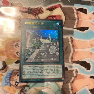 遊戯王 20PP-JP011 ◆ウルトラレア◆ 魔法 白薔薇の回廊