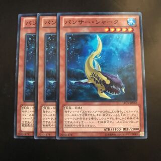 パンサー・シャーク ノーマル