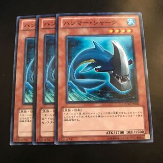 ハンマー・シャーク ノーマル