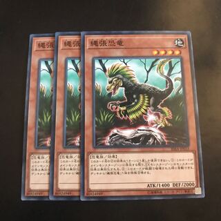 縄張恐竜 ノーマル